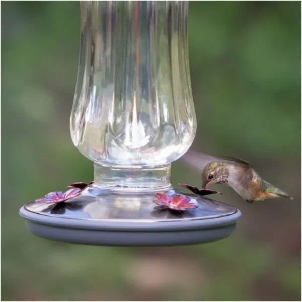 Starglow Vintage Hummingbird Feeder - 16 oz. - Image 4