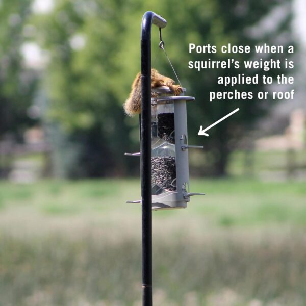 Classic Brands Squirrel-X Squirrel Proof X1 Feeder - 4.2 lb. Capacity - Image 3