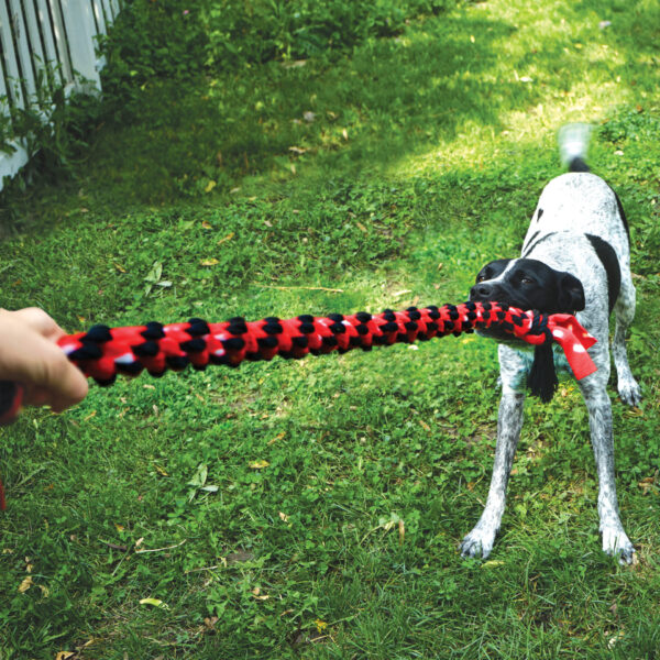 KONG Signature Dual Knot Rope - 20 in. - Image 3