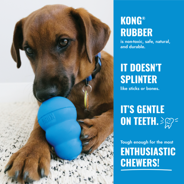 KONG Goodie Bone w/ Rope - X-Small - Image 2