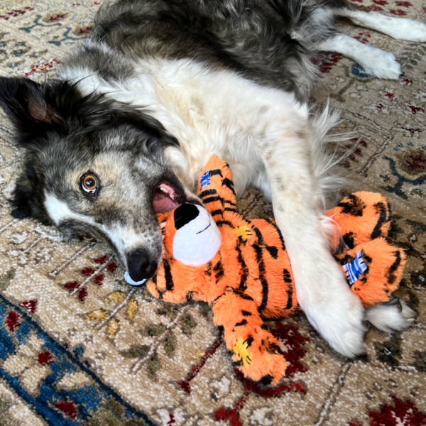 KONG Wild Knots Tiger Dog Toy - 7 in. - Image 3