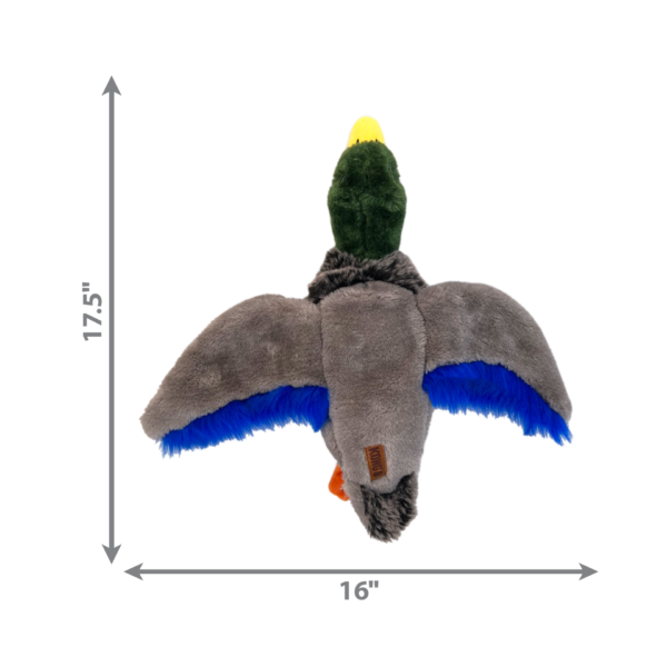 KONG Low-Stuff Wild Mallard - Medium - Image 3