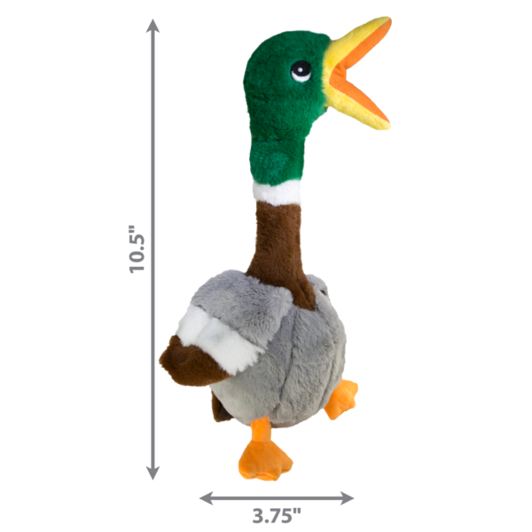 KONG Honkers Shakers Duck - 11 in. - Image 2