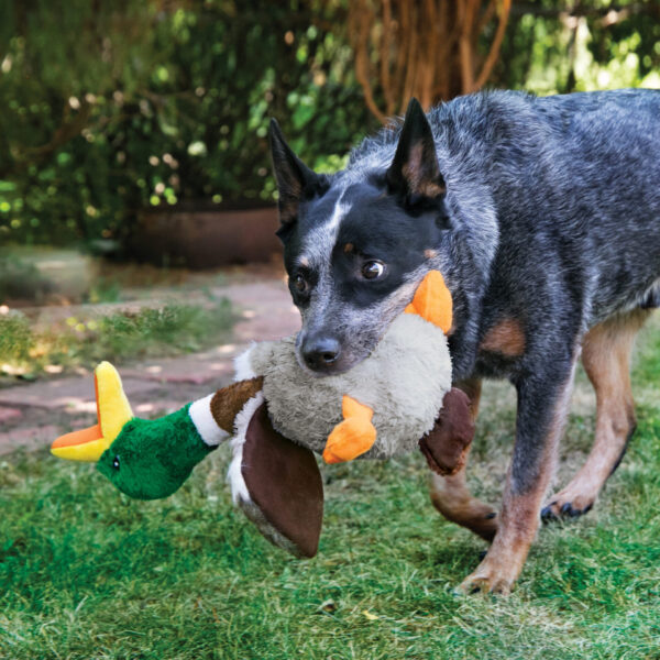 KONG Honkers Shakers Duck - 11 in. - Image 3