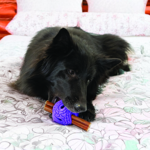 KONG Flex Squeezz Treat Ball - Sm/Md - Image 4