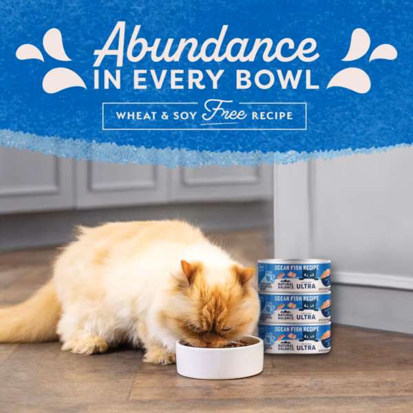 Natural Balance Ultra Ocean Fish Canned Cat Food - 5.5 oz. - Image 2