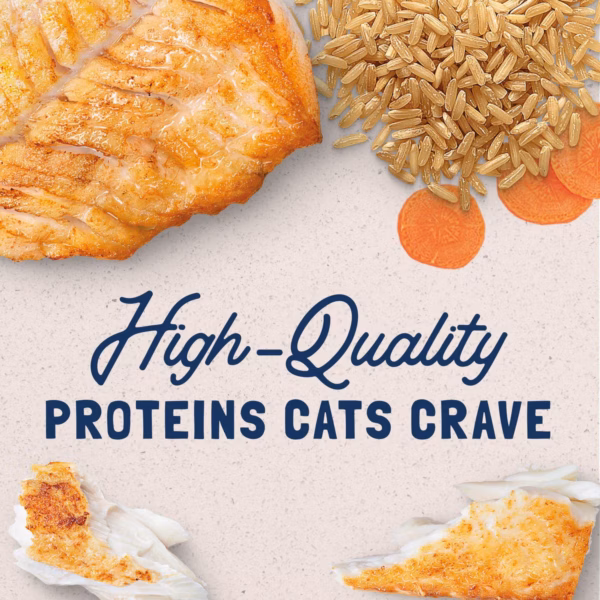 Natural Balance Ultra Ocean Fish Canned Cat Food - 5.5 oz. - Image 3