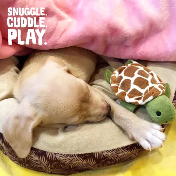 SnugArooz Baby Shelldon Dog Toy - 5 in. - Image 5