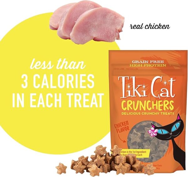 Tiki Cat Crunchers Chicken & Pumpkin Treat - 2 oz. - Image 4